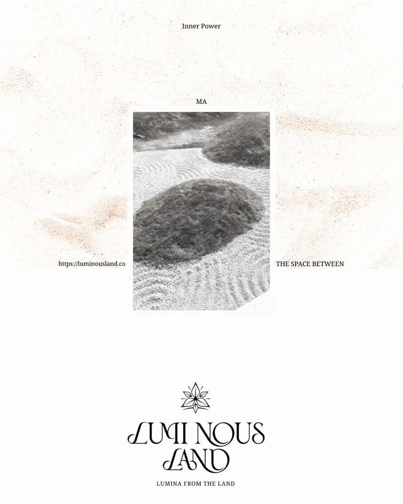 2026 SPRING / SUMMER—Seeing fluidity in stillness.