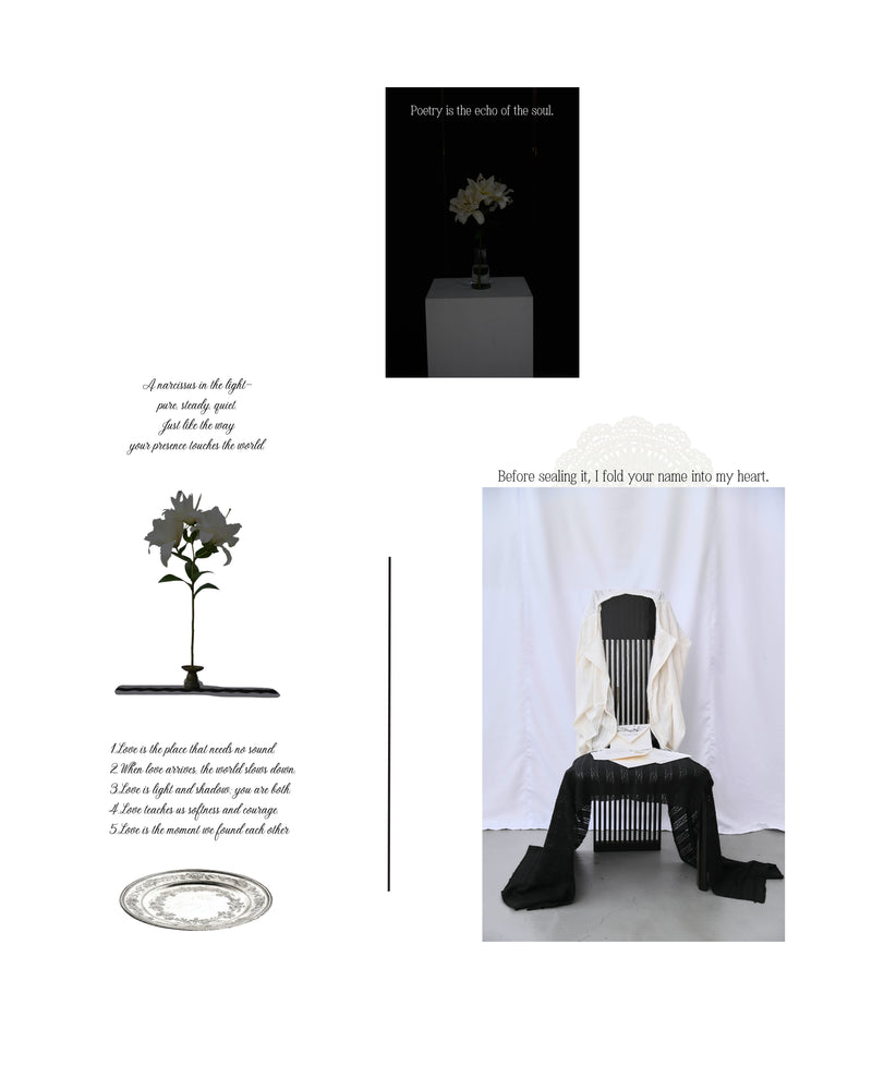 來自光明之地的一封情書